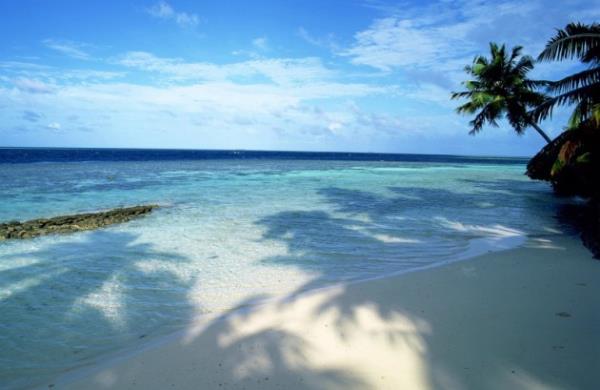 Ramazan bayramndaki tatillerin genelde yurtiine ynelik olduunu ifade eden An Tur Yurtd Turlar Mdr Cihan Saray ise Kurban Bayram'na ynelik yurtd tatil satlarnn hazirandan bu yana hzlandna dikkat ekti.