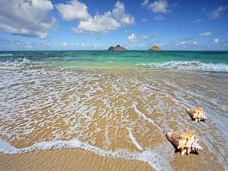 Ancak bu ayn ramazana denk gelmesi nedeniyle talep ertelemesi nedeniyle sezon kaym oldu" dedi.