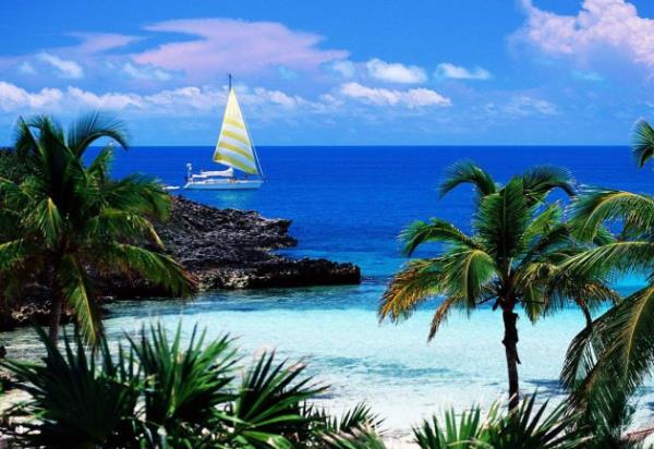 Ancak bilet fiyatlar el yakacak.