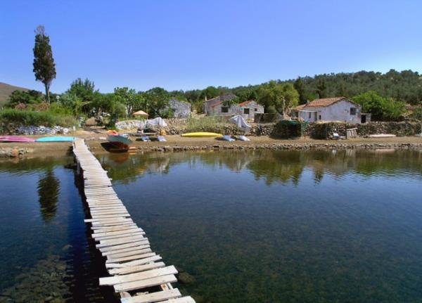 Bu noktada da yaz dnemi zor olan charter seferlerinin saysn msaitlik durumunda artrma yoluna gideceiz" diye konutu.