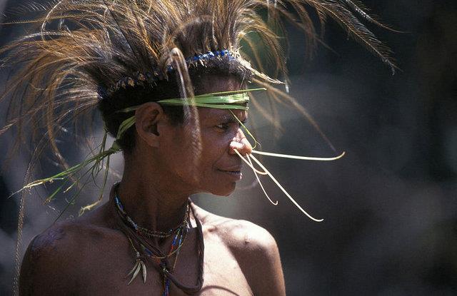 ORMANDA VAHŞİCE BESLENİYORLAR!    Endonezya'da yaşayan son yamyam kabilelerinden biri olan Korowailer sık yağmur ormanlarında yaşıyor.
