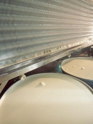 Peynir mayas� (Nutritional Yeast) Bu toz h�line getirilmi� peynirin tek bir porsiyonunda inan�lmaz �ekilde dokuz gram protein bulunuyor. G�nl�k �nerilen miktardan �ok daha fazla B Vitamini i�eren bu besin, enerjini y�kseltmeye, stresi ortadan kald�rmaya ve kronik hastal�k risklerini azaltmaya yard�mc� oluyor. Neler yapabiliriz? T�pk� Parmesan gibi, patlam�� m�s�r, patates, makarna ya da omlete serpi�tirebilirsiniz. T�rkiye?de hen�z toz h�linde peynir mayas� bulunmuyor ama yurt d���na ��kt���nda birka� kavanoz almay� sak�n unutmay�n!