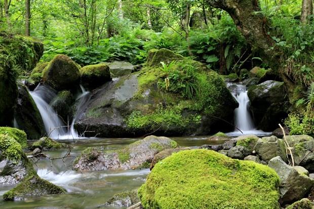 Batum'u gezerken dog&#774;aya hayran kalacaksnz, milli parklar huzur verici ve ruhunuzu dinlendirici bir atmosfere sahip.