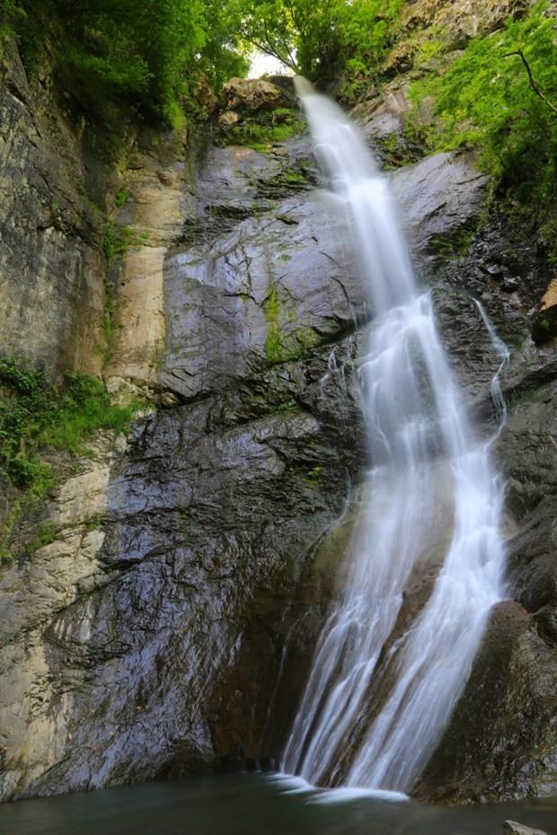 Batum c&#807;evresinde yer alan pek c&#807;ok milli parkta s&#807;elalelere rastlyorsunuz.