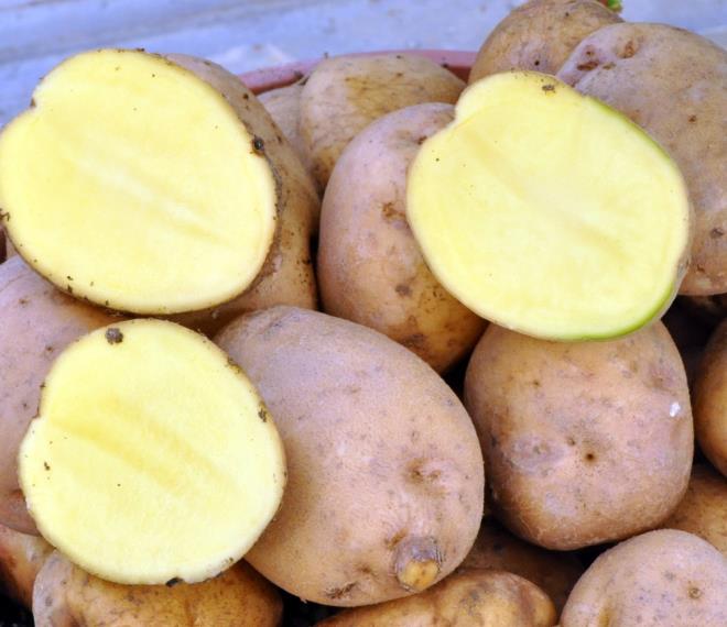 Gzelletirir<p>  Patateste bulunan manganez kadn cildinin dostudur. Bu deerli sebze yalnz yenerek deil, kremler ve masklar yoluyla da kadn tenini gzelletirir, cilde gerginlik kazandrr.