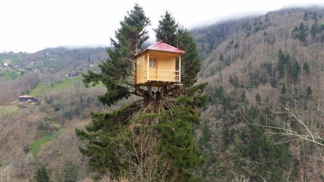 lgin yaplaryla sk sk gndeme gelen Rize&#8217;de 35 metrelik aacn stne yaplan ancak merdiveni ksa kalan ev ile kaps balkona deil bolua alan ev dikkat ekiyor.