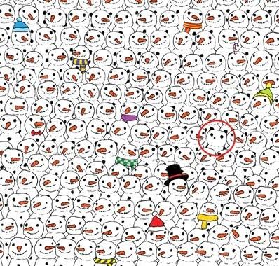 Macar sanat Dudolf'un Facebook sayfasnda paylat bir resim internet dnyasn ikiye bld. Dudolf, ok sayda kardan adamn olduu resmi ''Onlarn arasnda bir panda var. Onu bulabilir misiniz?'' diyerek takipileri ile paylat. Sosyal medyada Macar sanatnn paylam ile karlaanlar panday ilk bakta grenler ve gremeyenler olarak ikiye ayrld. Resim, ksa sre ierisinde binlerce kii tarafndan beenilerek yz binin zerinde paylald.Panday siz bulabildiniz mi?