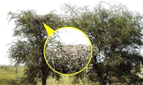 Makinenin vizrnden bakan isim ise Rus fotoraf Julia Sundukova.