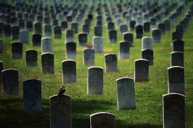 Kadavra bahesi bekisi