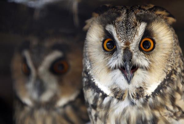 Haftan�n en dikkat �eken do�a foto�raflar�...