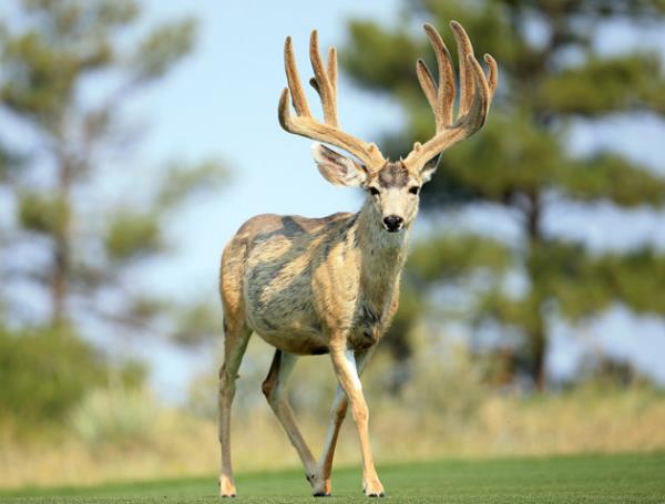 Haftan�n en dikkat �eken do�a foto�raflar�...