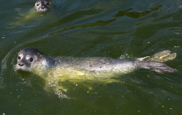 Haftan�n en dikkat �eken do�a foto�raflar�...