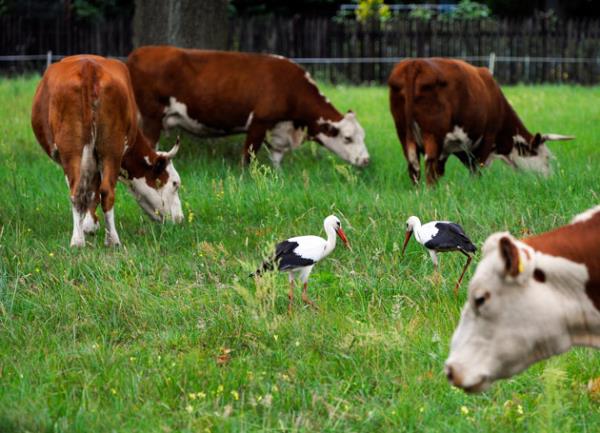 Haftan�n en dikkat �eken do�a foto�raflar�...