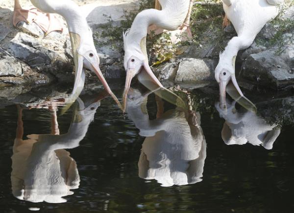 Haftan�n en dikkat �eken do�a foto�raflar�...