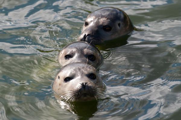 Haftan�n en dikkat �eken do�a foto�raflar�...