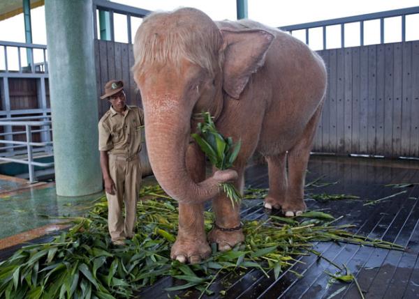 Haftan�n en dikkat �eken do�a foto�raflar�...