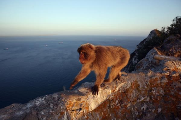 Haftan�n en dikkat �eken do�a foto�raflar�...