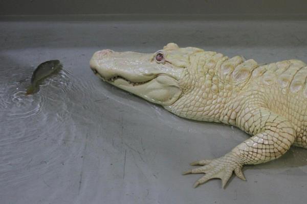 Haftan�n en dikkat �eken do�a foto�raflar�...