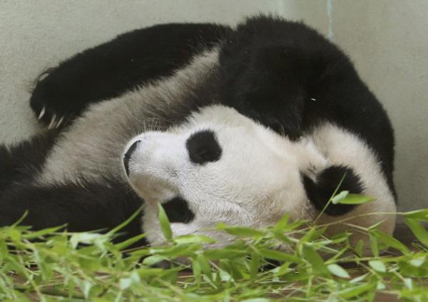 Haftan�n en dikkat �eken do�a foto�raflar�...