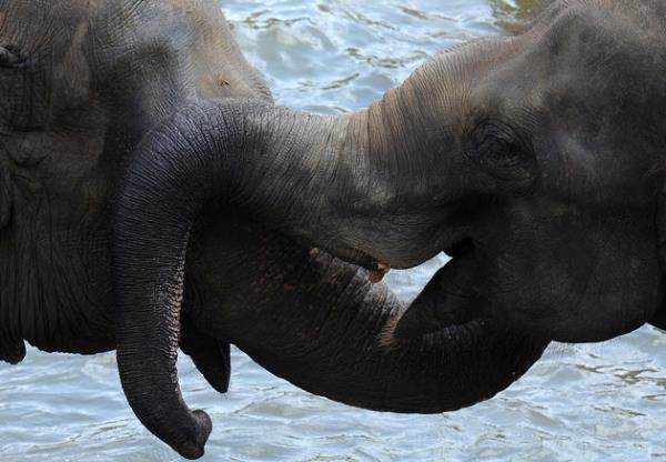 Haftan�n en dikkat �eken do�a foto�raflar�...