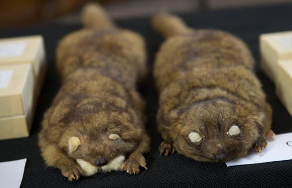 Haftan�n en dikkat �eken do�a foto�raflar�...