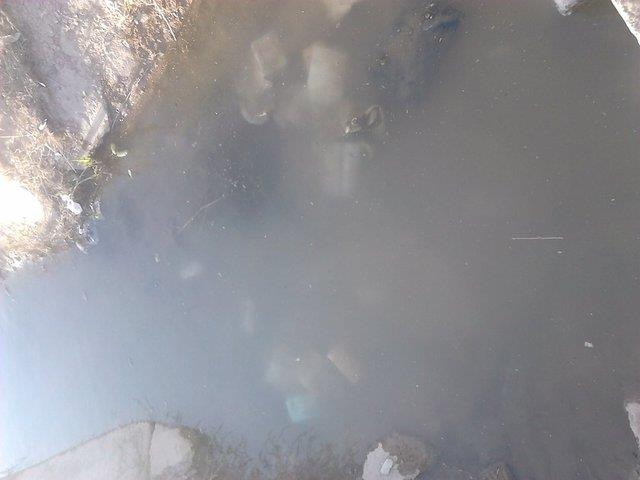 Dzenlenen operasyonda evinde yakalanan Arif Ylmaz gzaltna alnd. Evde yaplan aramada 3 adet Laptop, bir adet telefona el konuldu. (HA)