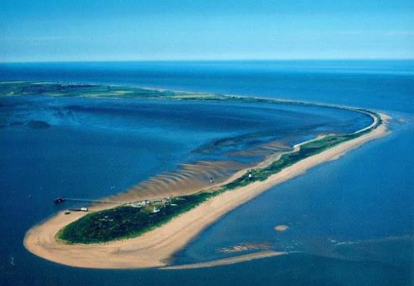 Hayran brakan kara uzantlar...