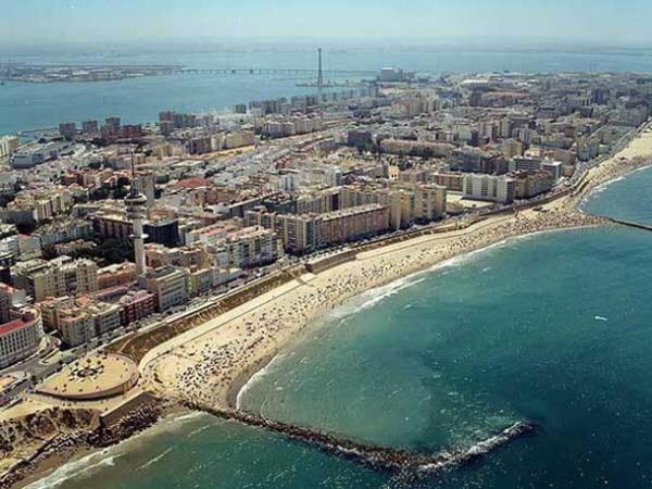 Hayran brakan kara uzantlar...