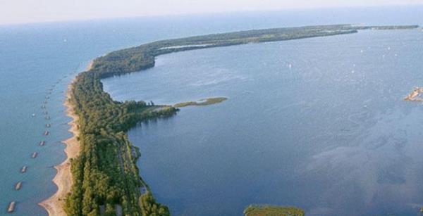 Hayran brakan kara uzantlar...