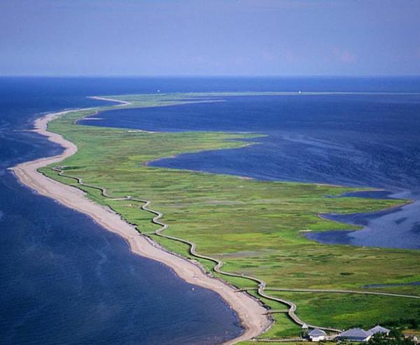 La Dune de Bouctouche kara uzants sadece zerinde yaayan insanlara deil birok bitki ve hayvan trne, g eden kulara ev sahiplii yapyor.