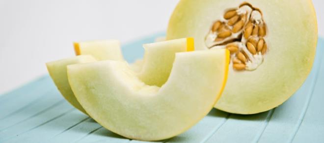 Bakteriler, bir oturuta nadiren bitirilen kavun gibi nemli gdalara baylrlar.