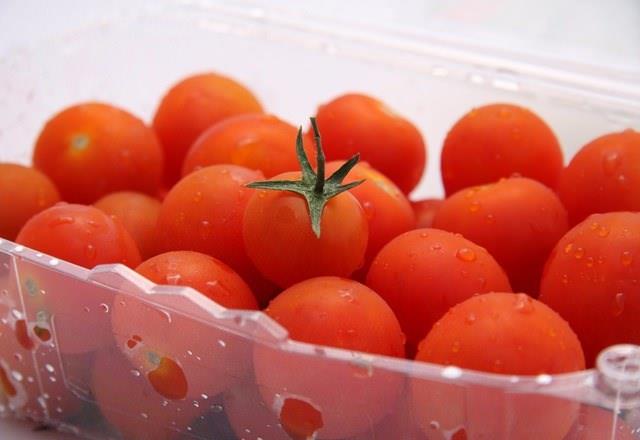 Ve eer bu su tanklar kirliyse, domatesler suyu eker ve nihayetinde bakterilerle dolarlar.