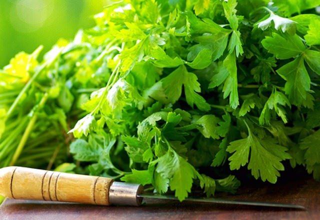 Taze maydanoz ve kini