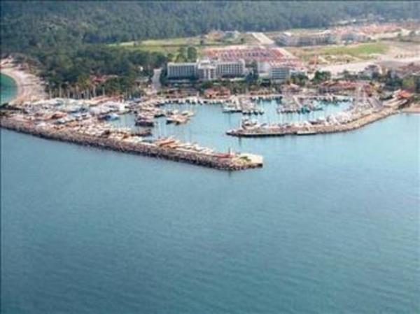 Yalova: 19.864