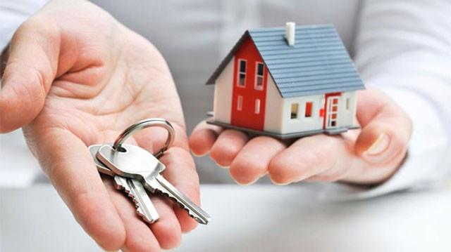 Aslan  <br>  CEO, sanat, turist rehberi, emlak, i mimar, moda tasarmcs, politikac, sat danman