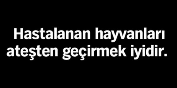 Birbirinden garip batl inanlar