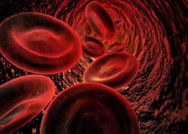 Ancak, oksijen taycs olan alyuvarlarn yerine gelmesi 6 haftaya kadar srer.