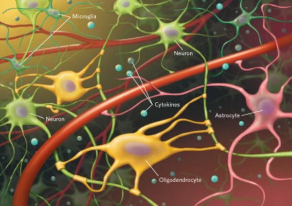 Kalsiyum, K Vitamini ve fibrinojen adl maddeler srece destek veriyor.