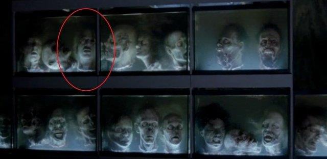 Zombi kafalarnn olduu akvaryumda duran bu kafa zombiye benzemiyor.