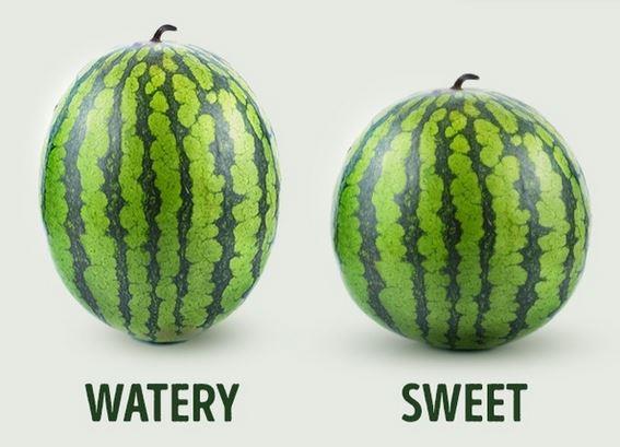 2- Erkek mi dii mi?  <br>Karpuzlarn da cinsiyetleri olduunu biliyor muydunuz? Uzun ve oval karpuzlar 'erkek', yuvarlak olanlar ise 'dii' olarak biliniyor. 'Erkek' karpuzlar sulu olurken, 'dii' karpuzlar daha tatl oluyor.