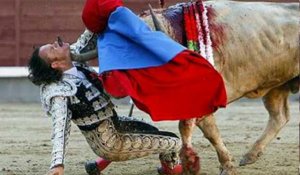 spanya'nn nl matadorlarndan Julio Aparicio, 2010 ylnda Saint Isidro Festival'inde gsterisini yaparken boann saldrsna urad. Boann boynuzu Aparicio'nun enesinde girdi, azndan kt. Bu olaydan sonra 2 kez ameliyat olan Aparicio hayata dnd.