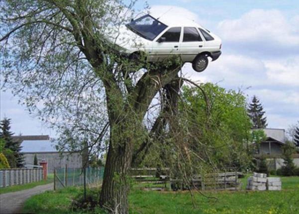 <p><b>Dier ilgin kareler... </b></p>    Polonya'da 24 yandaki Zbigniew Filo'nun kt ara kullanmasndan bkan komular, gece yars gencin otomobilini mobil bir vin yardmyla st aacnn zerine kard. Sabah kalktnda aracn aacn tepesinde bulan Filo, byk ok yaad.