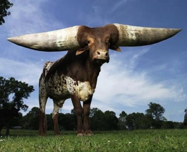 Doru ay yakalayarak deklanre basmak bu insanlar iin vazgeilmez bir tutkuya dnnce ortaya bu kareler kyor. te photoshop mdahalesi olmayan ama gz yanlmasna dayana o kareler...