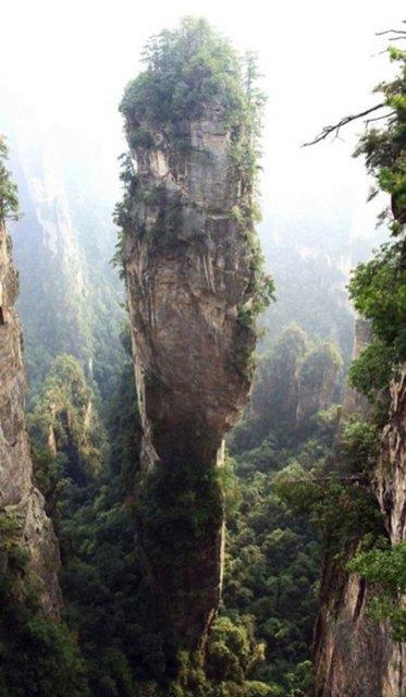 in'de bulunan dalar Avatar filmini hatrlatyor. Tek fark gerek olmas.