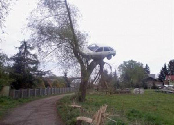 Lubczyna'da, Zbigniew Filo'nun kt ara kullanmasndan bkan komular, gence ceza vermek amacyla ilgin bir ynteme bavurdu. Komular, Filo'nun Ford Escorda marka aracn gece saatlerinde mobil bir vin yardmyla st aacnn zerine kard. Sabah kalktnda aracn aacn zerinde bulan Filo, durumu polise bildirdi. Olayla ilgili soruturma balatan polis, komularnn kt ara kullanan gence ceza vermek amacyla otomobili aracn zerine kardklarn belirledi