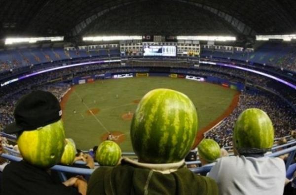 Spor taraftarlar ma izlemek iin farkl bir yntem bulmu.