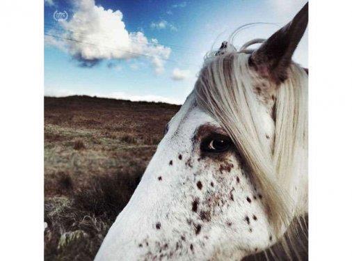 Holly Wesley  <p>Kategori: Yln Fotoraf (1.'lik dl)</p>