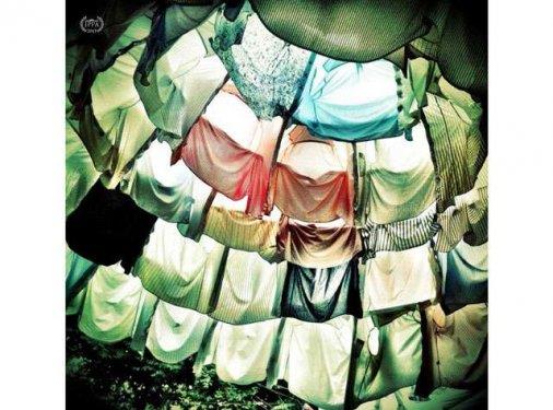 Daniel Fonseca  <p>Kategori: Kompozisyon (1.'lik dl)</p>