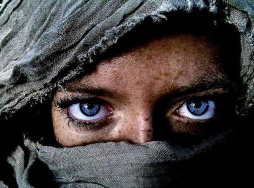 Kim Hanskamp  <p>Kategori: nsan</p>