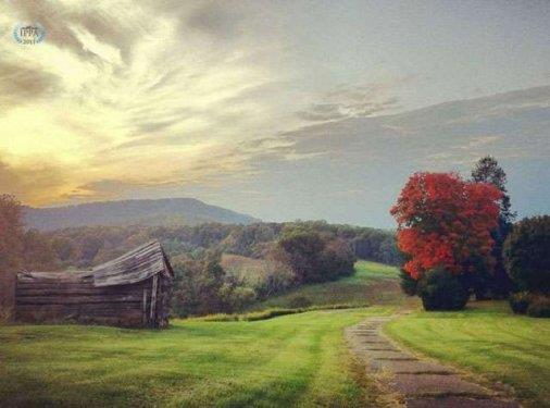 Maegan Moore  <p>Kategori: Manzara (1.'lik dl)</p>